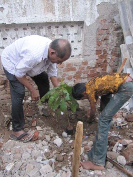 Two trees were planted in the Shelter’s backyard by Mr Raphael who has already planted about 50 trees in various parts of Dharavi.  
