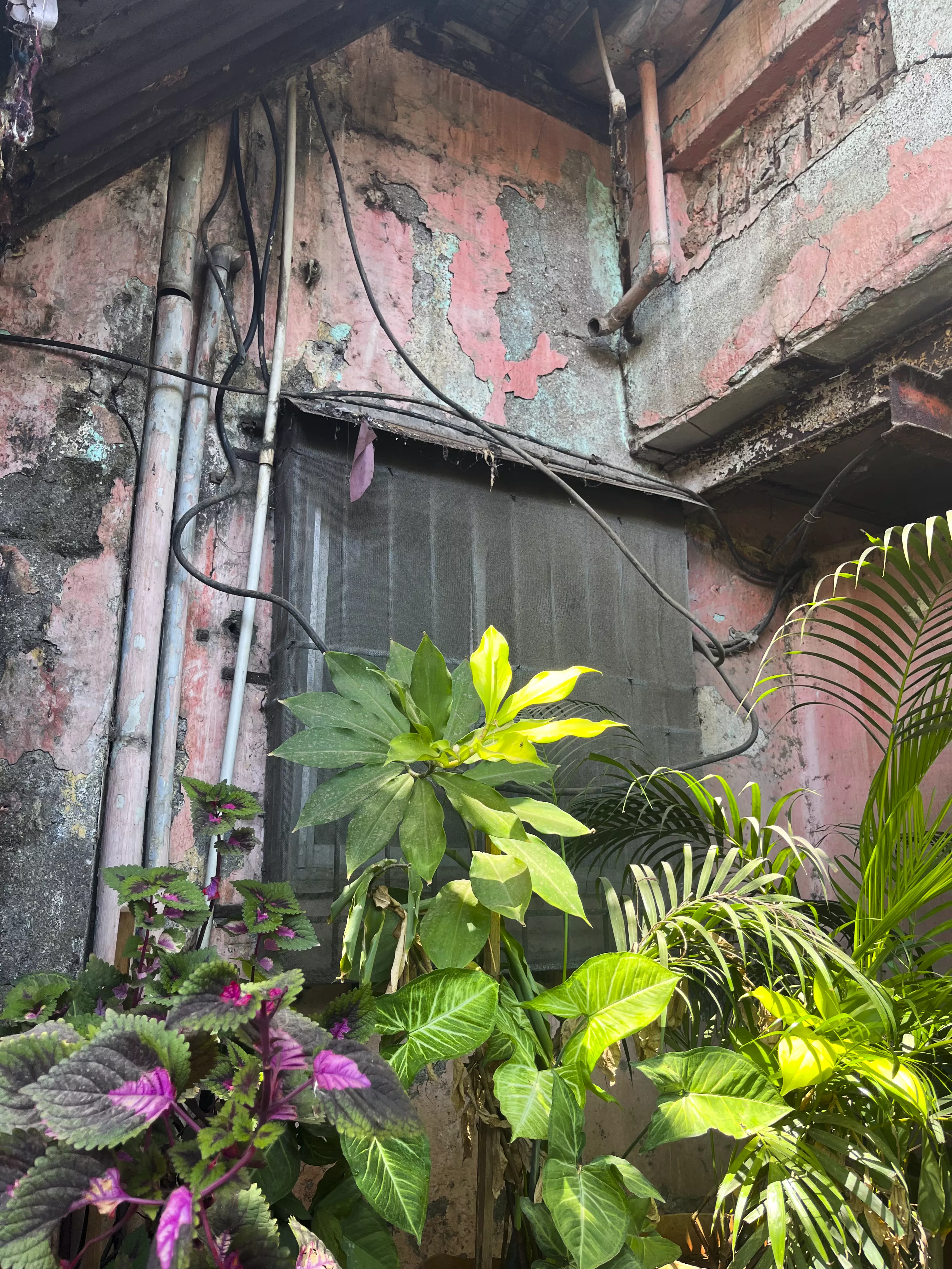 Exterior of Jantu Bai Niwas showing signs of age and adaptation over time.