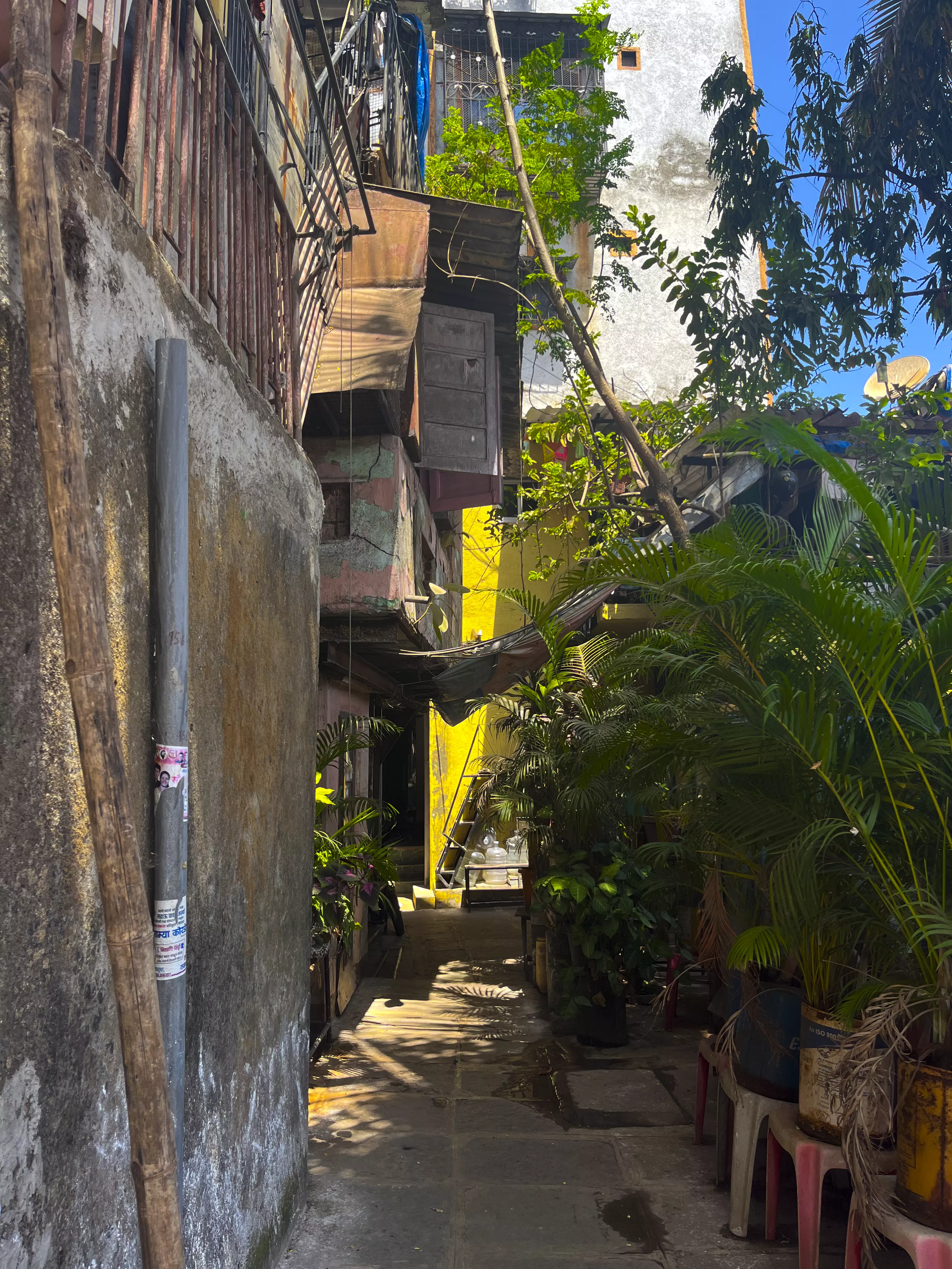 A narrow alleyway beside Jantu Bai Niwas lined with plants and everyday activity.