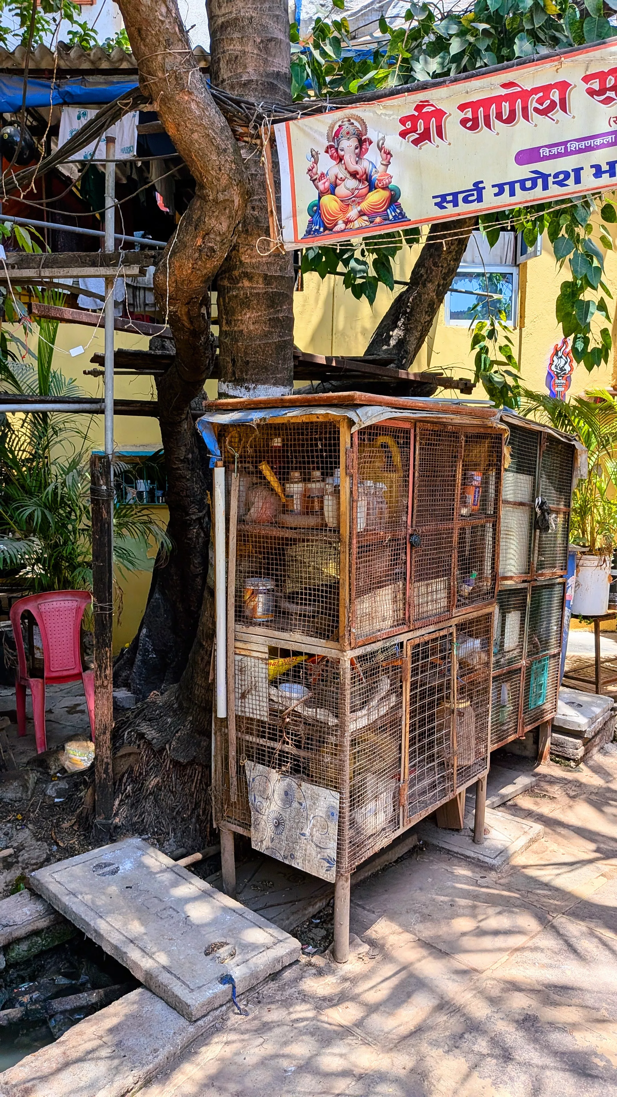 A storage cabinet and plants arranged within a shared space used by residents.