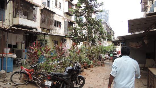 Tenants of BDD Chawls have appropiated the in-between space in all kinds of ways. Here is a garden that can be removed when the space needs to be used for other functions.