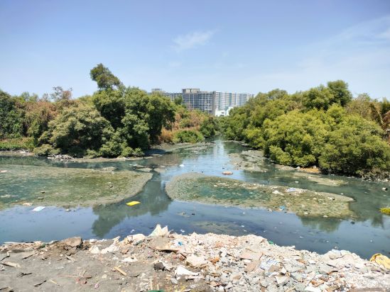 The main channel that connects the ponds, Bandra Kurla complex in the background