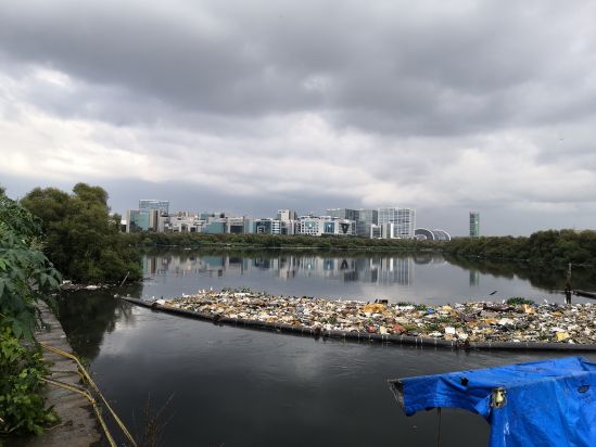 The Banda Kurla Complex facing the Mithi’s stagnant, polluted waters