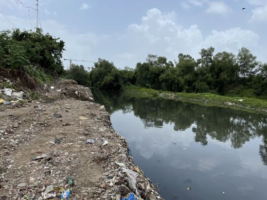 Mithi along the Sion-Bandra link road