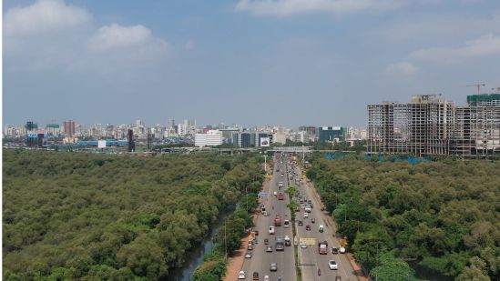 Aerial view of the Sion-Bandra link road cutting through the Mithi estuary and the mangroves