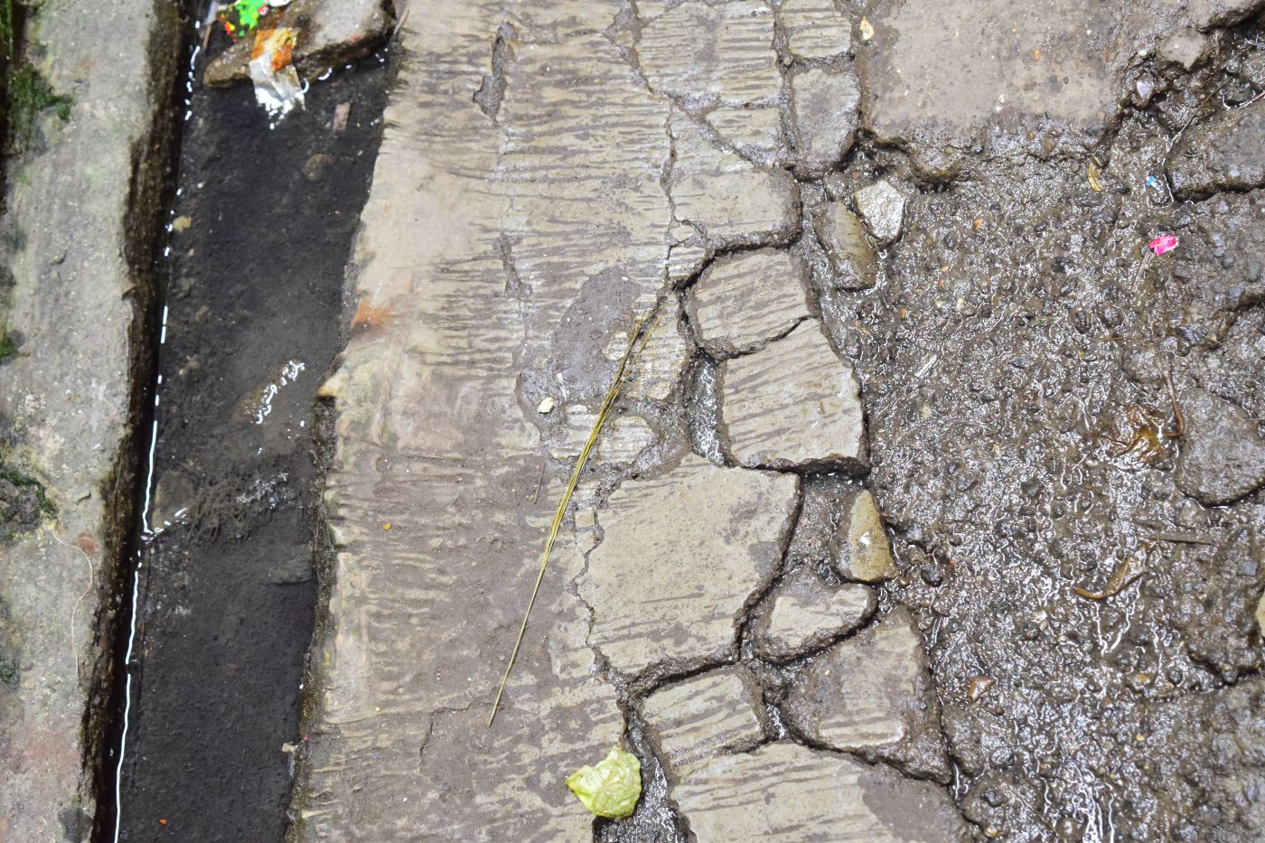 Water seeps up from the ground