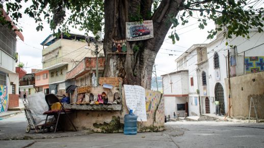 La Ceiba, a iconic place in San Blas. Photograph by Stephanie Marcelot.
