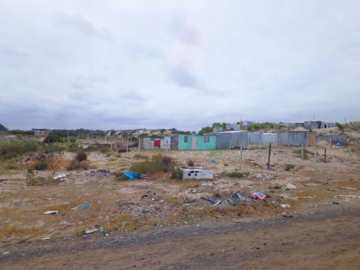 A view of a homegrown settlement in Khayelitsha
